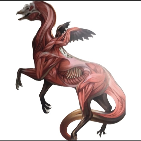 A Natural History of the Fantastic NWOT - Picture 6 of 9